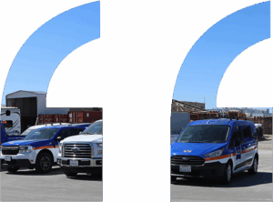 Royal Electric - fleet management software